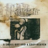 A Small Boy And A Grey Heaven cover