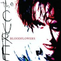Bloodflowers cover