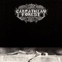 Black Shining Leather cover