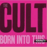 Born Into This cover