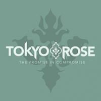 The Promise In Compromise cover