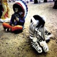 Blitzen Trapper cover