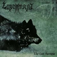 The Last Survivor cover