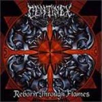 Reborn Through Flames cover