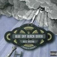 Razah's Ladder cover