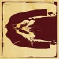 Bloodstain Pattern Analysis cover