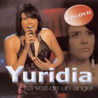 La Voz De Un Angel cover