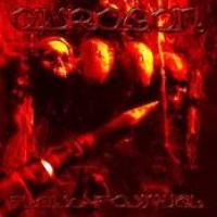 Fleischfestival cover