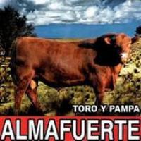 Toro Y Pampa cover