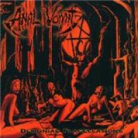 Demoniac Flagellations cover
