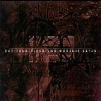 Cut Your Flesh And Worship Satan cover
