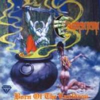 Born Of The Cauldron cover