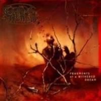 Fragments Of A Withered Dream cover