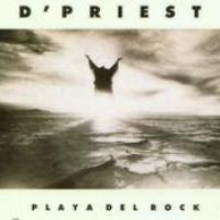 Playa Del Rock cover