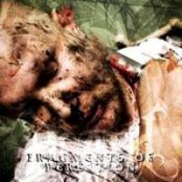 Fragments Of Perdition cover