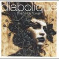 The Black Flower cover