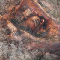 Unloved And Weeded Out cover