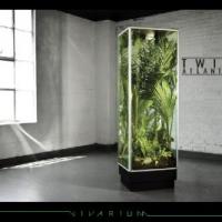 Vivarium cover