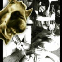 Io Ti Lecco Quando Vuoi cover