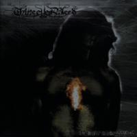 In The Wake Of Separation cover