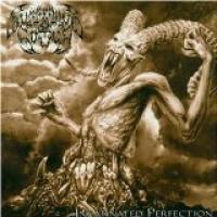 Incarnated Perfection cover