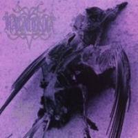 Brave Murder Day cover