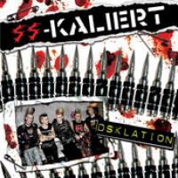 Dsklation cover