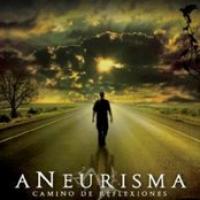 Camino De Reflexiones cover