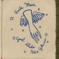 Good Shake, Nice Gloves cover