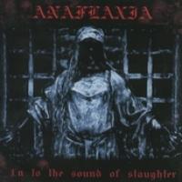 In To The Sound Of Slaughter cover