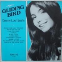 Gliding Bird cover