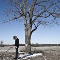 All I Have To Offer Is My Own Confusion cover