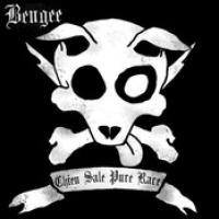 Chien Sale Pure Race cover