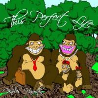 This Perfect Life cover