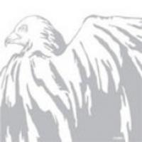 White Birds EP cover