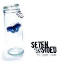 The Silver Lining cover