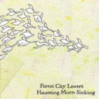 Haunting Moon Sinking cover