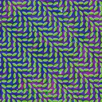 Merriweather Post Pavilion cover