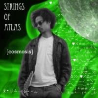 Cosmosis cover