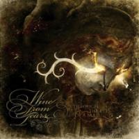 Through The Eyes Of A Mad cover