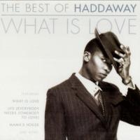 Best Of Haddaway: What Is Love cover