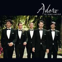 Für Immer Und Dich cover