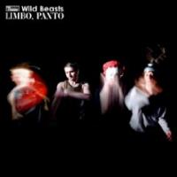 Limbo Panto cover